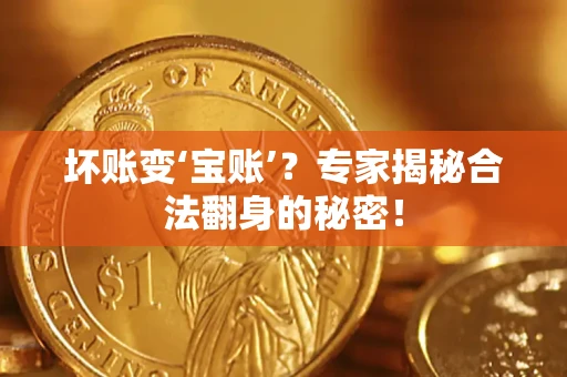 北京坏账变‘宝账’？专家揭秘合法翻身的秘密！