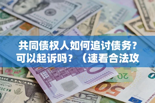 北京共同债权人如何追讨债务？可以起诉吗？（速看合法攻略）